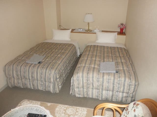 Basic Twin Room, Smoking
