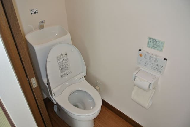 Japanese Style Family Room (Toilet and wash basin included. Shared shower room)