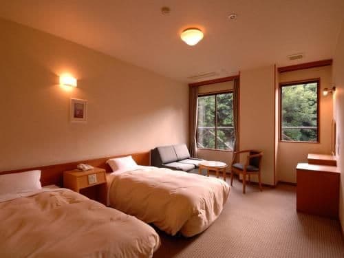 Twin Room - Non-Smoking