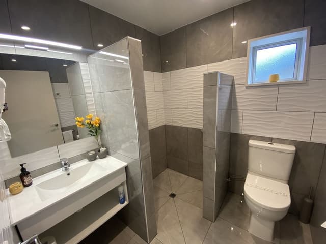 1-Bedroom Apartment