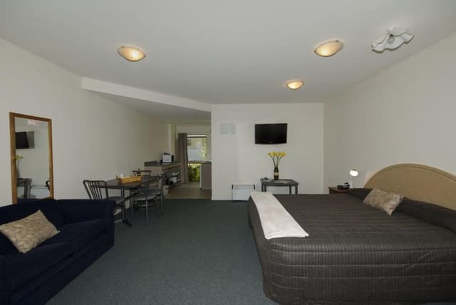 Studio, 1 King Bed, Non Smoking