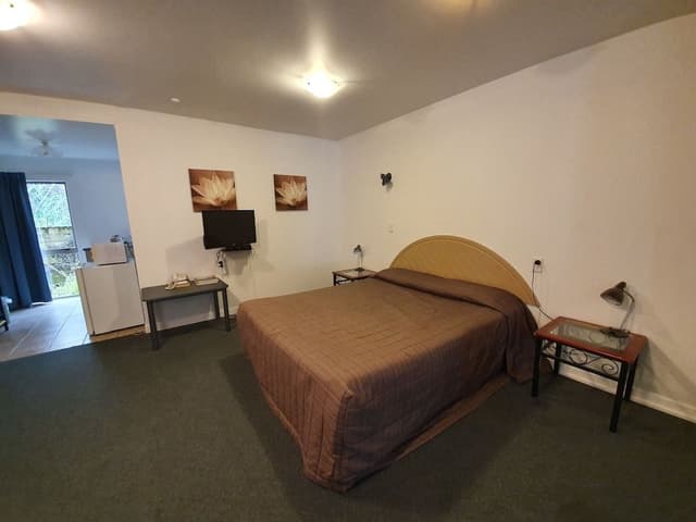 Studio, 1 King Bed, Non Smoking