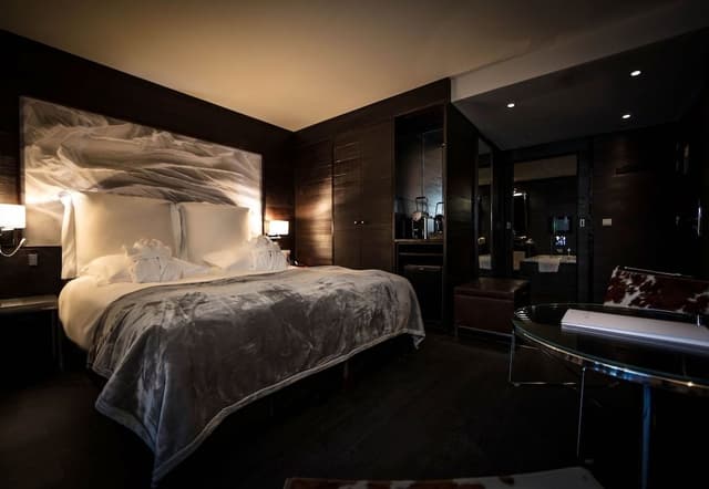 Superior Double or Twin Room