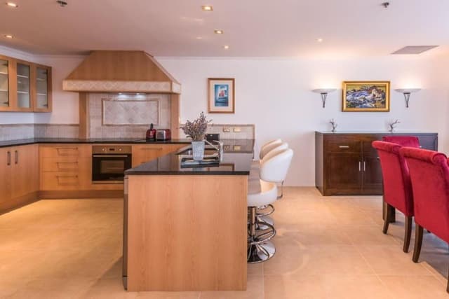Penthouse One-Bedroom Apartment