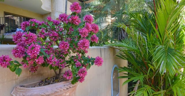 Two Bedroom Apartment - Weekly Service