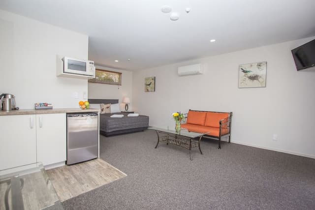 Premium Studio, Non Smoking, Kitchenette
