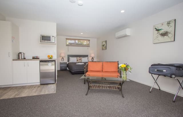 Standard Studio, Non Smoking, Kitchenette (Queen studio)