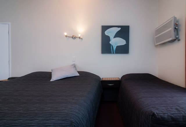 Twin/Triple Room