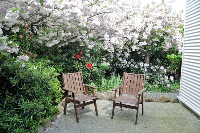 1 Bedroom Apartment with Spa Bath