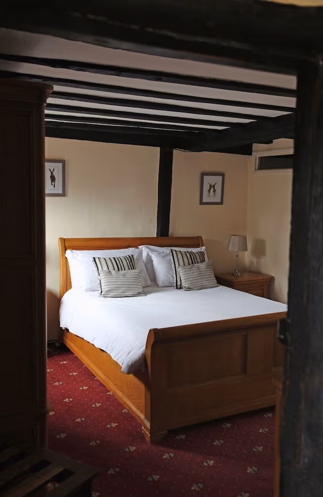 Double Room (Small)