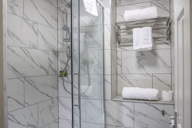 Standard Studio, 1 King Bed, Non Smoking, Kitchenette (Walk-in Shower)