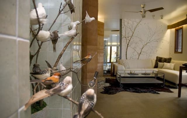 Luxury Villa
