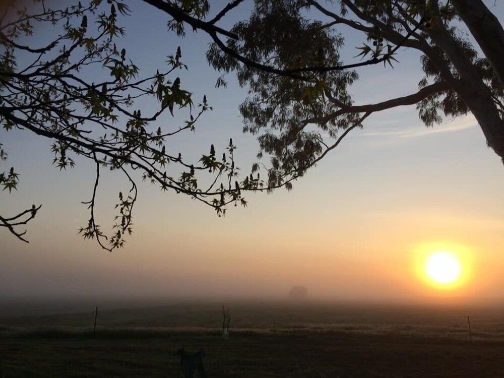 Abington Farm3