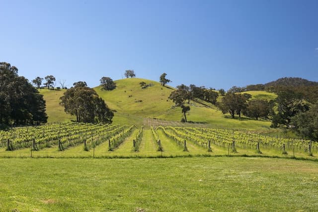 The Blue House at Mountainside Wines