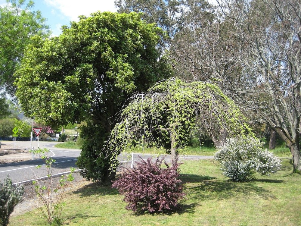 Nathan's Place2