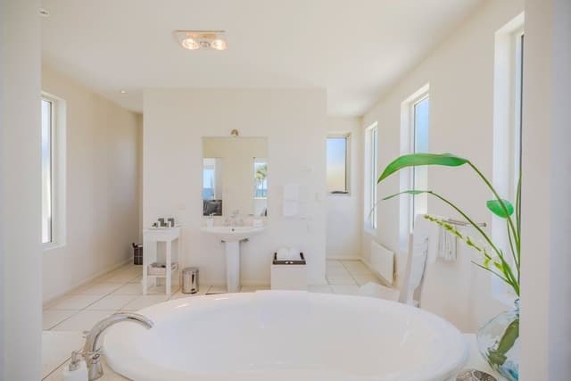 Luxury Studio Suite