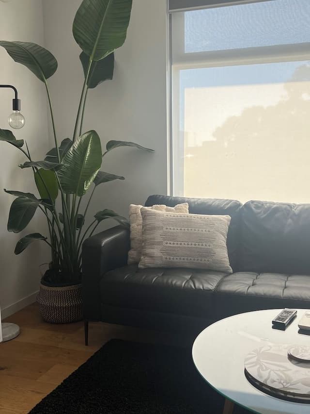 Executive Apartment, Multiple Beds