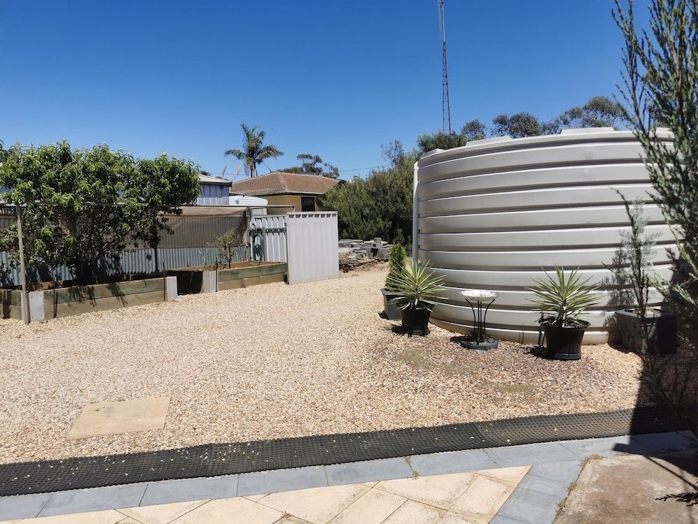 Chrissie's Dongara2