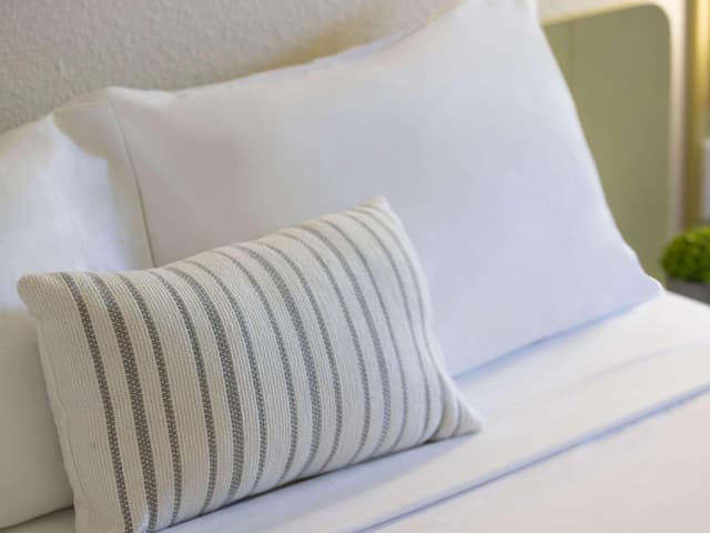 Standard Room with 1 King Bed