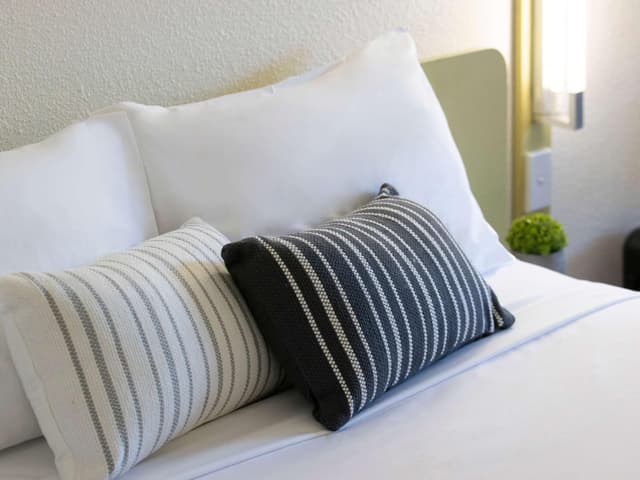 Standard Room with 1 King Bed