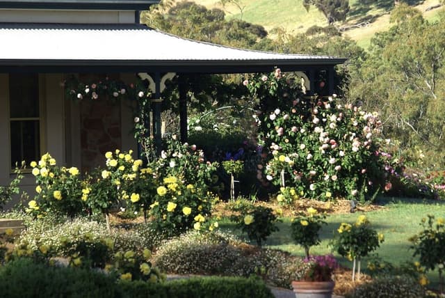 Classic Cottage