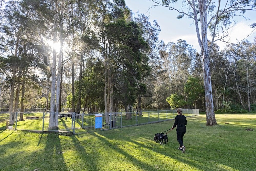 Discovery Parks - Forster1