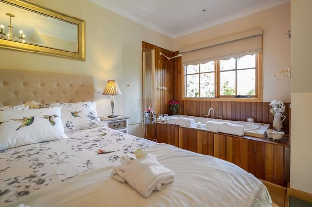 Suite (Tasman)