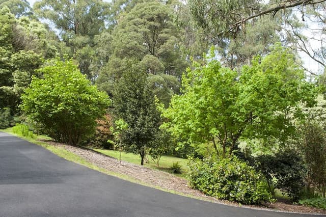 Suite (Tasman)