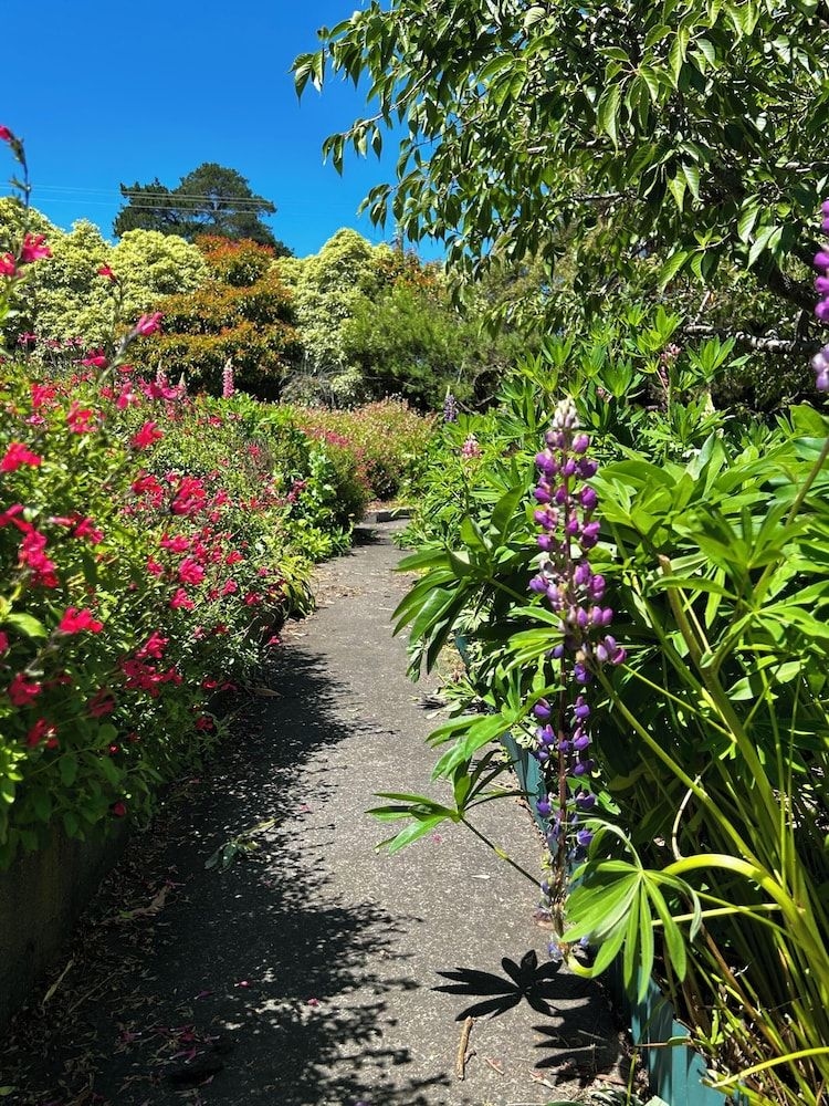 Hamlet Downs Country Accommodation4