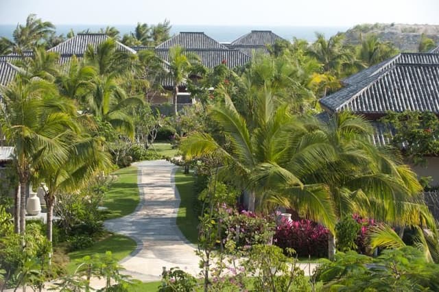 Deluxe Ocean View Room