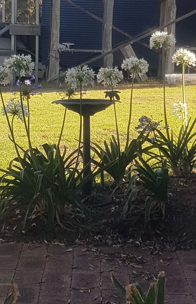 Redtail Ridge Cottages1