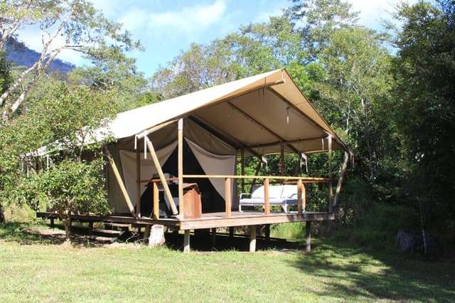 Glamping Suite