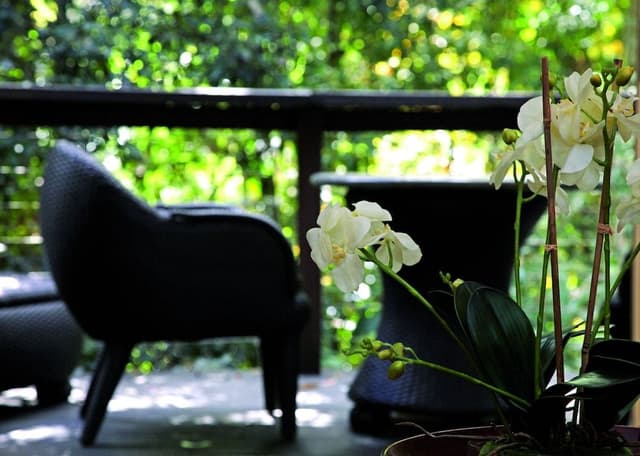 Luxury Suite, 1 Bedroom, Balcony (Rainforest Luxury Villa)