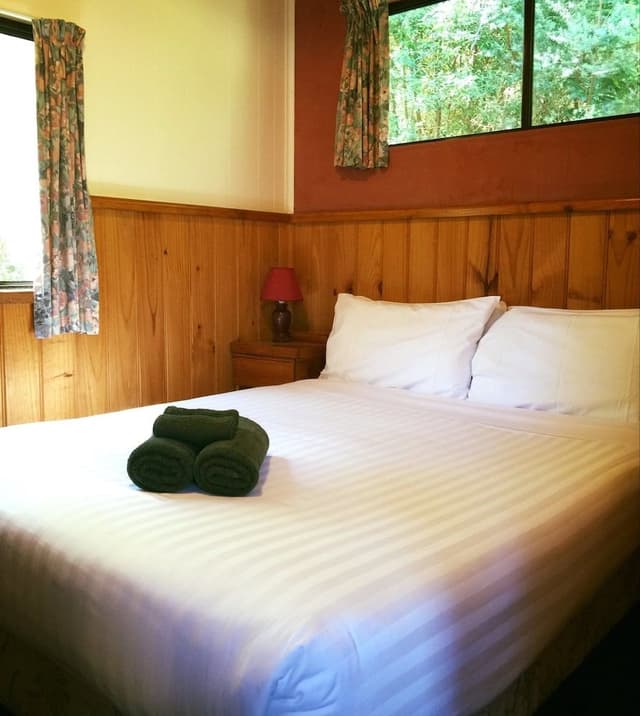 Standard Cabin Max 5