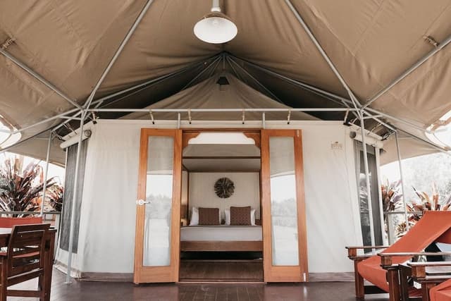 King Safari Tent