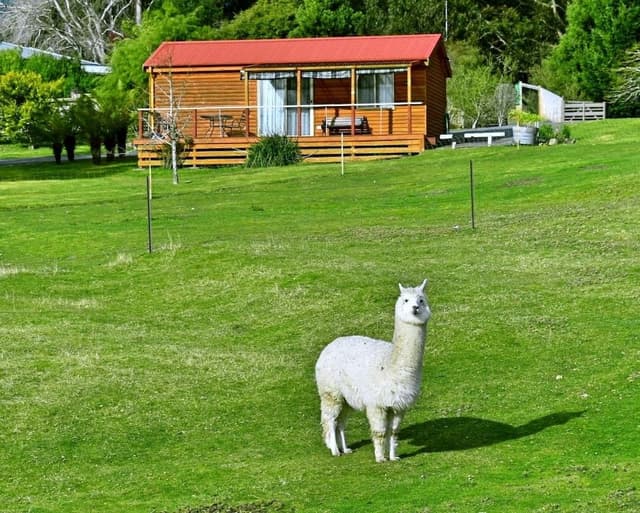 Family Cabin, 2 Bedrooms, Mountain View