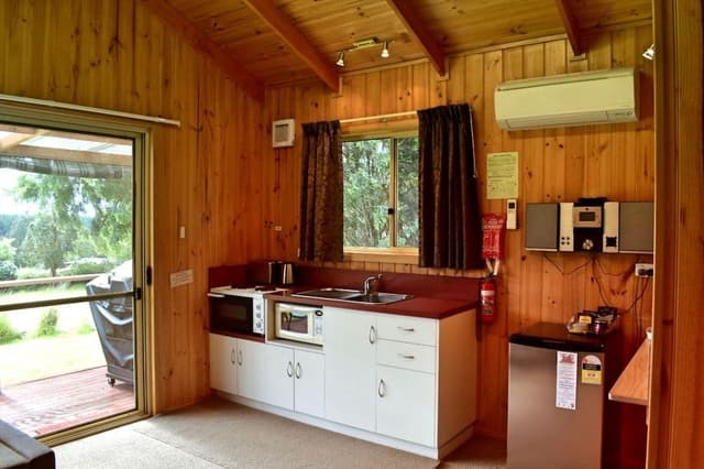 Panoramic Cabin, 1 King Bed, Mountain View