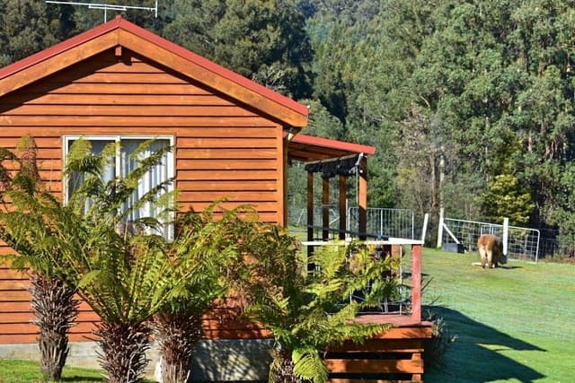 Family Cabin, 2 Bedrooms, Mountain View