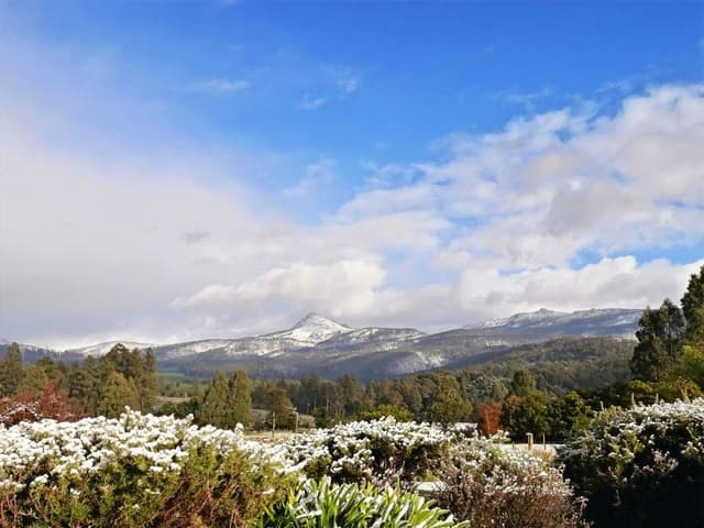 Family Cabin, 2 Bedrooms, Mountain View