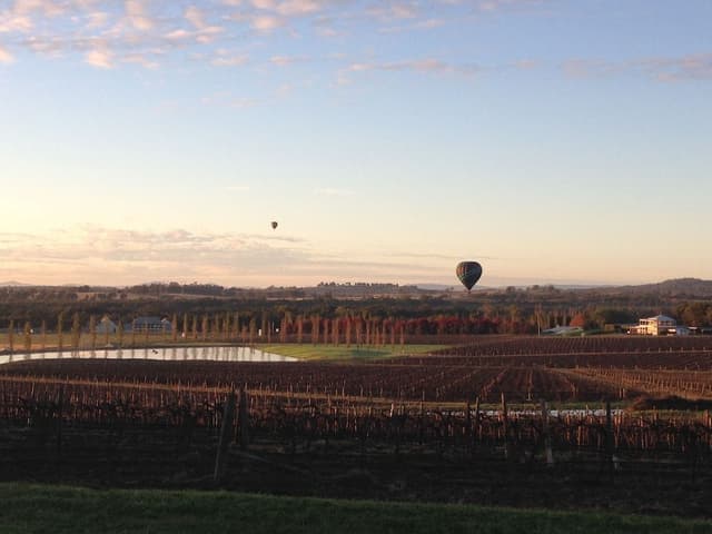 Vineyard View Room