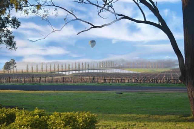 Vineyard View - Deluxe Queen Room