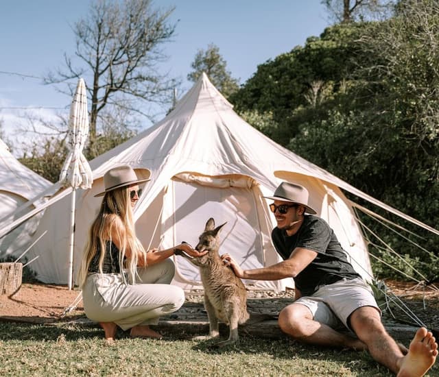 Glamping Tent