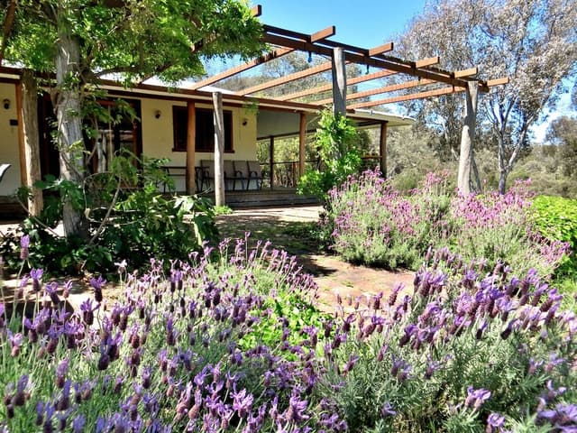 House, 5 Bedrooms (Capertee Homestead)