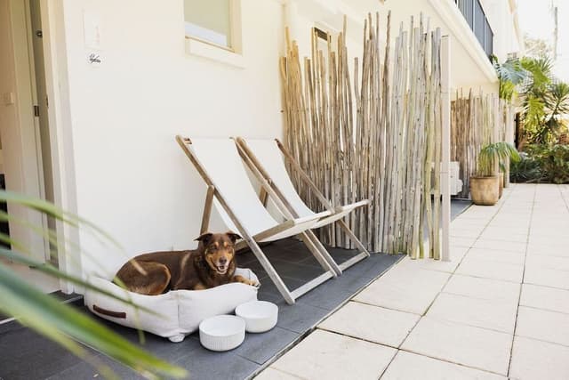 Poolside King Bed Suite (Ground Floor / Lawn Access) - Adults Only