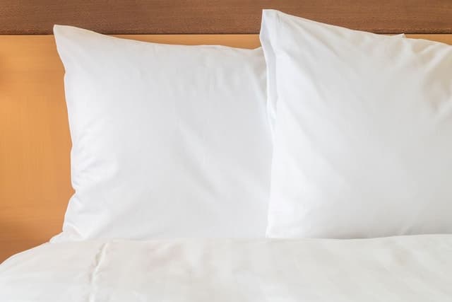 Standard Room, 1 Queen Bed (Birdwood Park View)