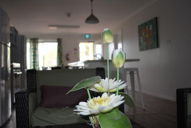 House, 4 Bedrooms (Lorikeet Lodge)