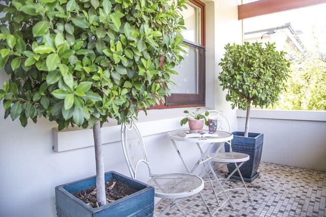 2-Bedroom Cottage