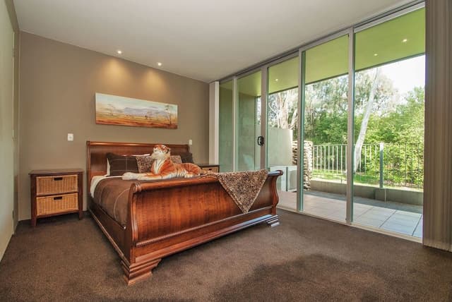 Safari Suite