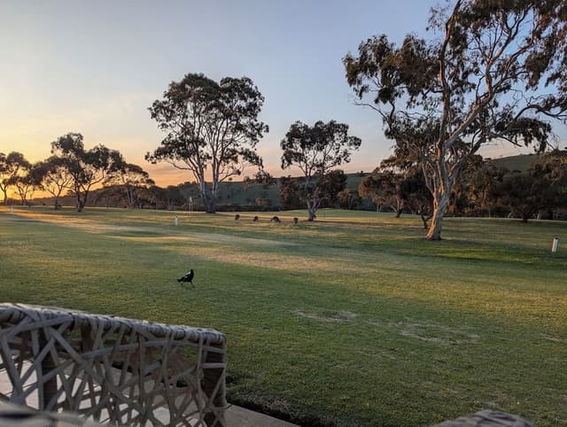 Room, 1 Queen Bed, Golf View