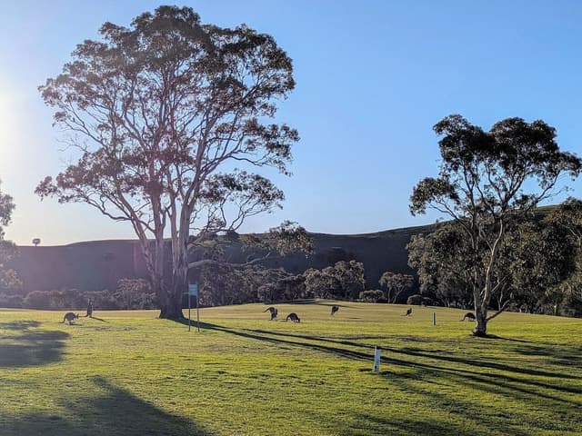 Room, 1 Queen Bed, Golf View